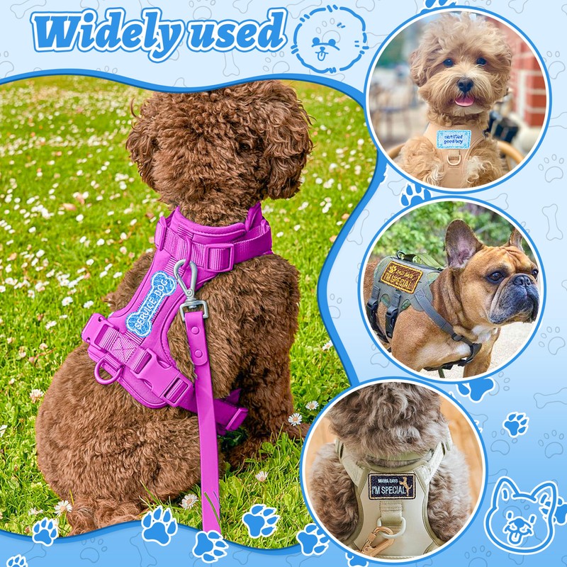 FUNCOLOR Service Dog Patch for Harness: 12Pcs Blue Theme Hook