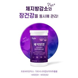 체지방 다이어트 유산균 보장균수 다이렉트 100억유산균 백억유산균 락토바실러스 아시도필루스 Body Fat Diet Probiotic Guaranteed Colony Count Direct 10 Billion Probiotics 10 Billion Probiotics Lactobacillus Acidophilus