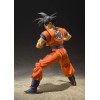 Bandai Son Goku {A Saiyan Raised On Earth Ver.} [Dragon