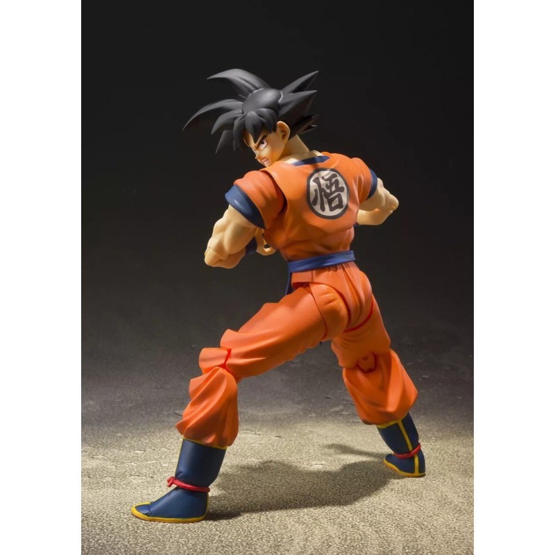 Bandai Son Goku {A Saiyan Raised On Earth Ver.} [Dragon