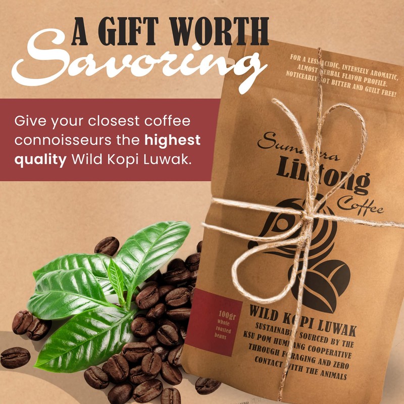 Wild Kopi Luwak, the World’s Most Exclusive Coffee, Sustainably Sourced