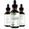 [2-Pack] Liquid Chlorophyll Drops - All-Natural Concentrate – Immune System