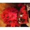 Mainstays New MainStays Floral Single Red Poinsettia Pick Christmas Bouquets