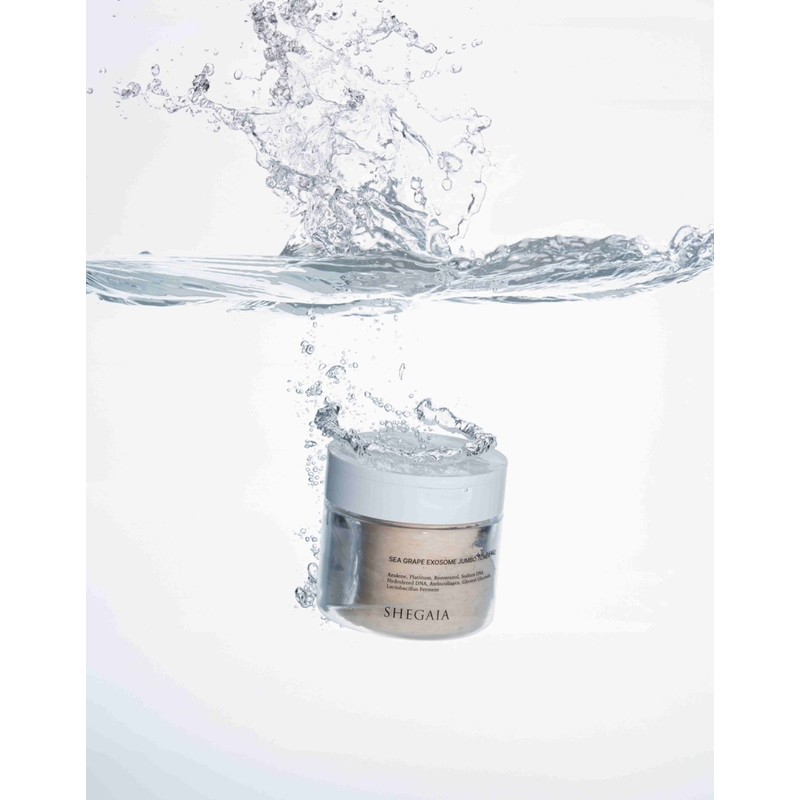 Shegaia/Sea Grape Exosome Jumbo Toner Pad / 쉬가이아/ 바다포도 엑소좀