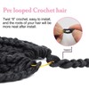 Smilco 20-Inch Braids Crochet Hair - 6 Packs of Goddess