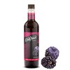 DaVinci Gourmet Classic Blackberry Syrup, 25.4 Fluid Ounces (Pack of