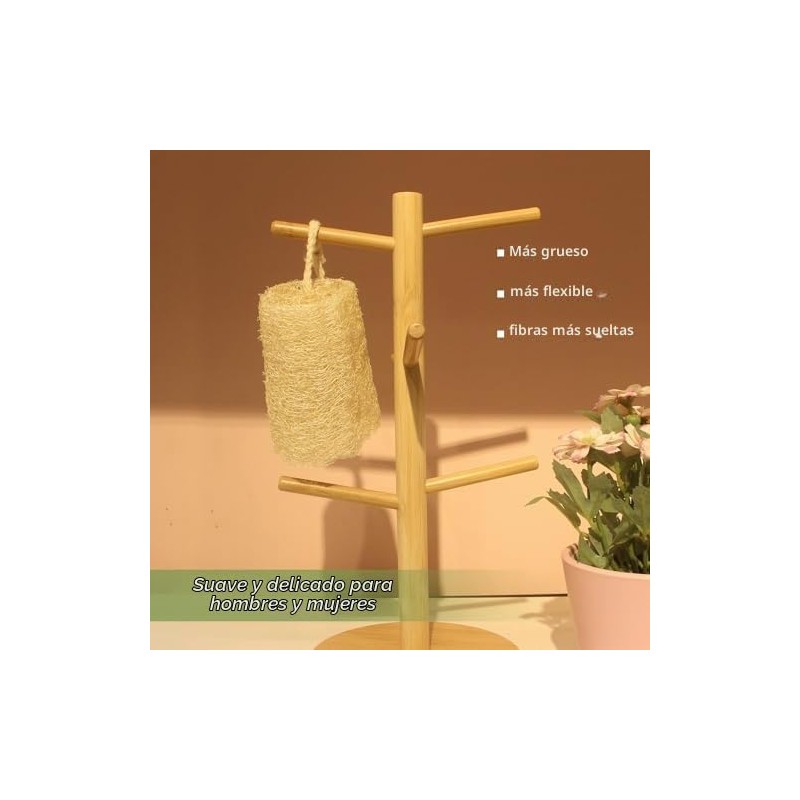 Esponjas de lufa exfoliantes suaves – Pack de 6 para