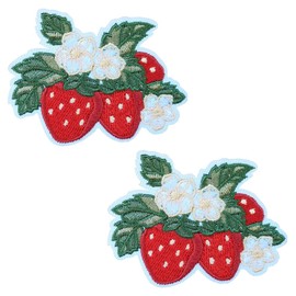 2 PCS KLORIZ Lovely Strawberry Patch Cute Fruit Blossom Embroidered Iron on Patch Sweet Applique Badge