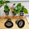 BENLIUDH 2.75inch Garden Plastic Slotted Mesh Net Cups Pots, Round