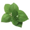 Unpretentious Mexican Oregano, 6.4 oz, Aromatic & Flavorful, Mexican Cuisine,