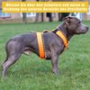 Robust Nylon Braided Anti-Pull Dog Harness, Adjustable Chest Harness with