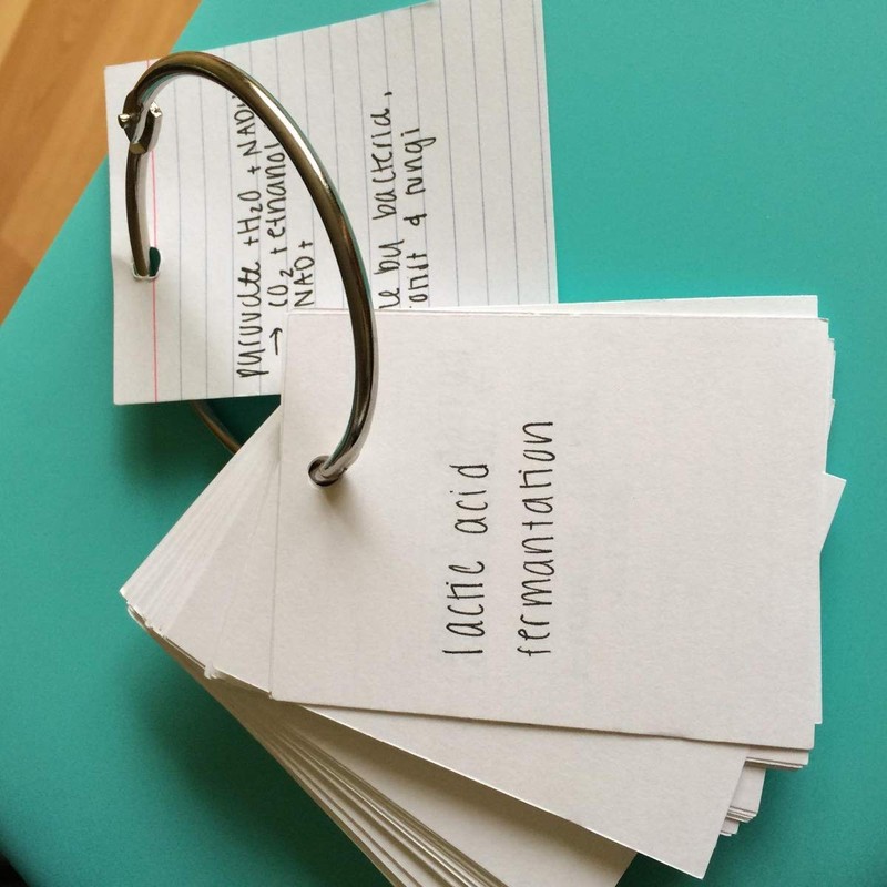 Coideal Large Metal Binder Rings - 20 Pack 2.5 Inch