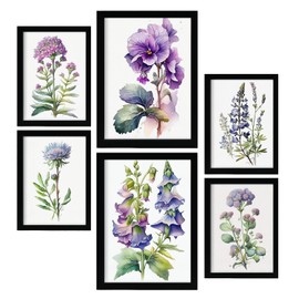 Nacnic Violet Posters. Full Colour Nature and Botany Prints with Floral Themes over Pure White Backgrounds. Aesthetic Illustrations for Interior Design and Decoration. A4 & A3.