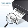 BLVD Zebra 4x6 Direct Thermal Shipping Labels ( 250 Labels