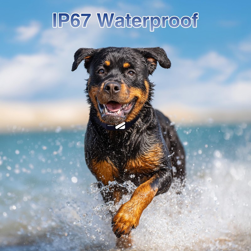 PATPET Dog Training Collar with Remote, 4200Ft E-Collar with LED