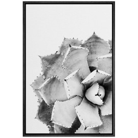 Color-Banner Framed Canvas Print Wall Art Spiked Desert Rose Succulent Floral Plants Photography Modern Art Closeup Relax/Calm Grey Black and White for Living Room, Bedroom, Office - 16"x24" Black
