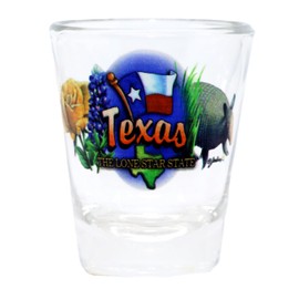 Texas Lone Star State Elements Shot Glass