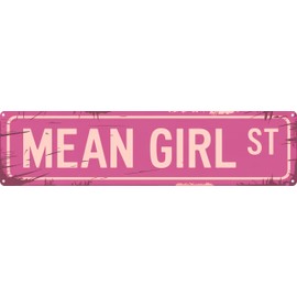 Mean Girl St Funny Rustic Pink Wall Metal Tin Signs Decor 4x16 in