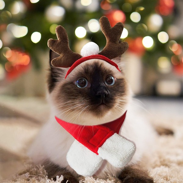 PETLESO Cat Christmas Costume, Cat Reindeer Antlers with Scarf Small Dog Christmas Scarf Santa Costume Pet Xmas Outfits for Cat Kitten, Puppy