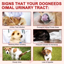 Oimmal Urinary Tract Infection Treatment for Dogs, Natural Herb, Cranberry Kidney Stone