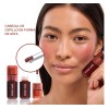 Pro Lashbeauty Rubor Líquido 2 en 1 Blush y Labial