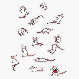 MAGNET Rat Party Magnet Bumper Sticker Car Magnet Flexible Reuseable Magnetic Vinyl 5"