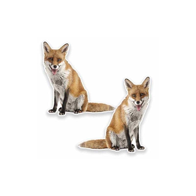 2 x 30cm/300mm Ginger Fox WINDOW CLING STICKER Car Van