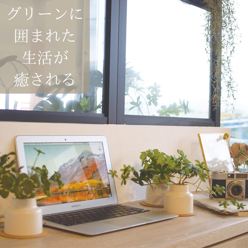 Kishima KH-61251 Artificial House Plants, Fake Green, Artificial Plants, Never