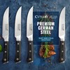 Cutluxe Steak Knives Set of 4, Straight Edge Steak Knife