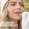 Lip Balm Organic (Original Unflavored) 4 Tube Pack Pure and