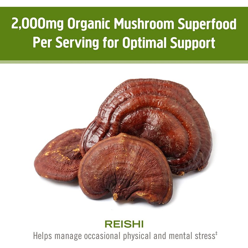 Om Reishi Mushroom 667mg 75 count