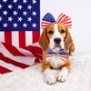 4th of July Dog Bow Tie Collar, USA Independence Day