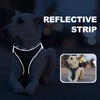 haapaw Dog Harness and Lead Set, No Pull Adjustable Reflective