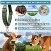 Nylon Livestock Collar Adjustable Cattle Collar with Cow Bell for