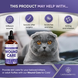 Cat Wound Care in Drops | Wound Care + Lavender | Cat Wound Drops | Wound Care for Cats | Pet Wound Care for Cats | Wound Care Cats | 2 Oz