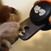 GoPets Pet Nail Clipper for Large Dogs and Cats with