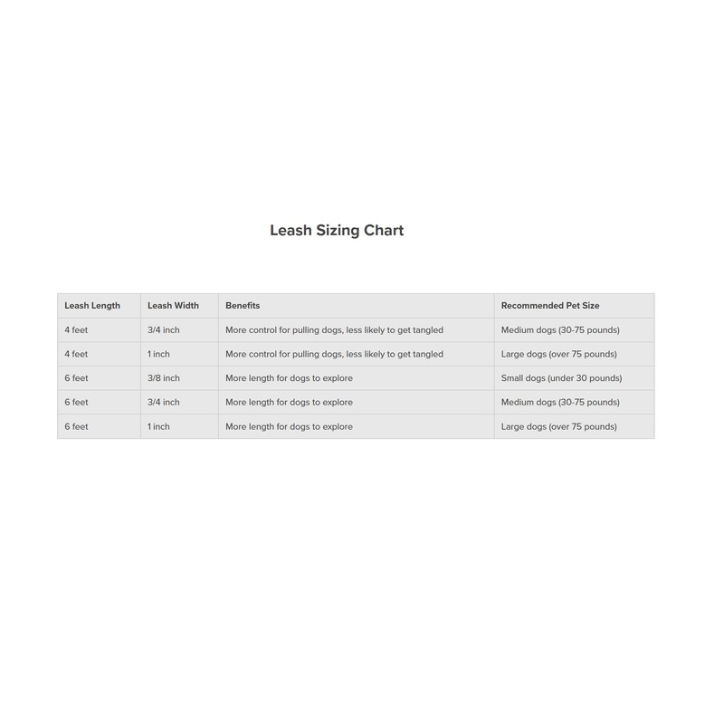 PetSafe Nylon Dog Leash - Strong, Durable, Traditional Style Leash