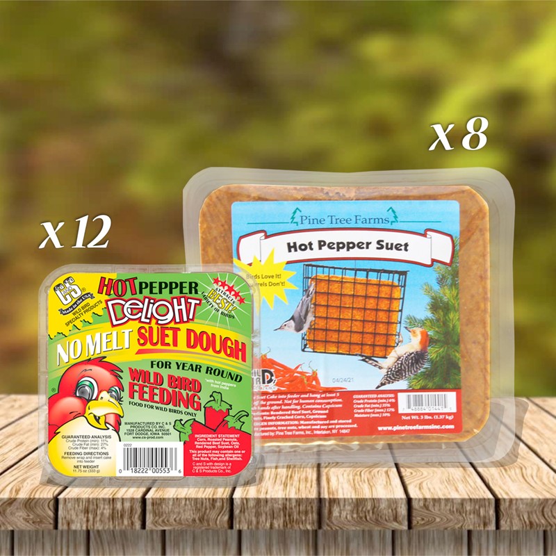 BestNest Hot Pepper Suet Cakes Package, 20 Cakes