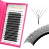 XIUSUZAKI W Lash Extensions Supplies 6D Eyelash Extensions W Shape