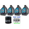 JSI Maxima Oil Kit For Kawasaki Jet Ski STX 15F STX-15F Oil Change Kit Oil Filter JT 1500 JT1500