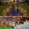 Go2garden 6Pcs Garden Solar Lights Outdoor Stakes Decorative Lighting for