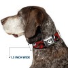 Buckle-Down Collar de Perro con Hebilla para cinturón de Seguridad