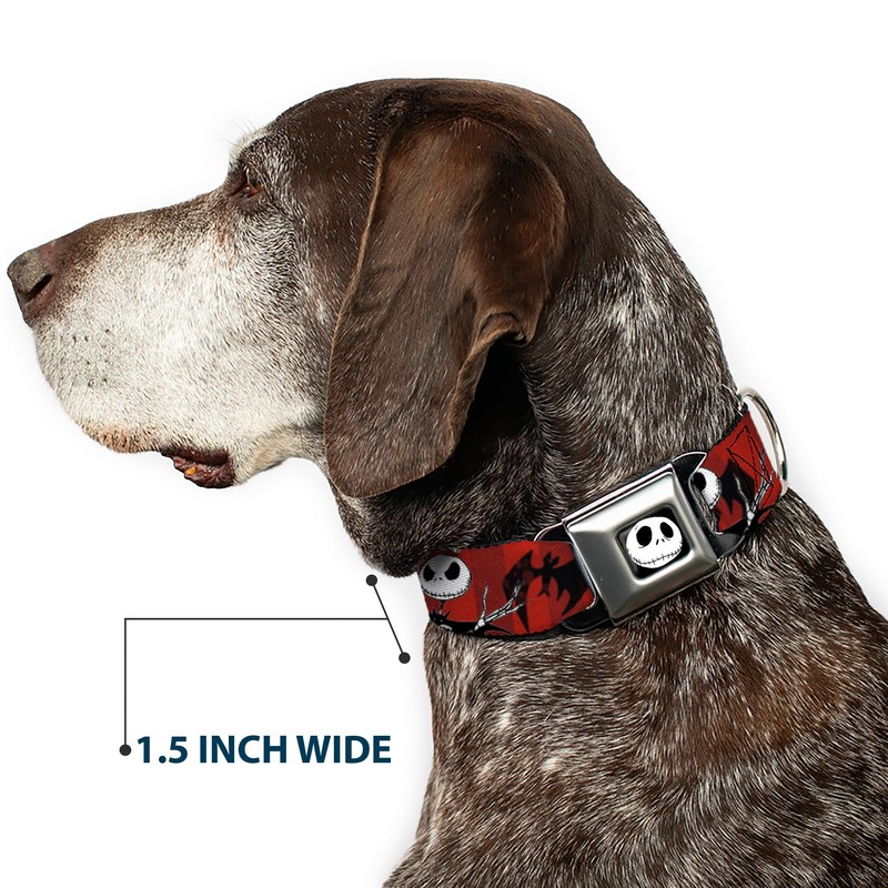 Buckle-Down Collar de Perro con Hebilla para cinturón de Seguridad