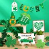 Frienda St Patricks Day Decor 12 Pcs St. Patrick's Day