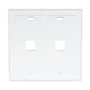 Leviton 2-Port Dual Gang QuickPort Wallplate with ID Windows, 42080-2WP,