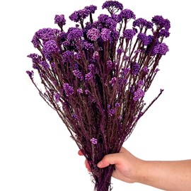 17 Inches Natural Dried Millet Flower Bouquet for Decor, 22-25 Stems Home and Wedding Decoration (Purple)