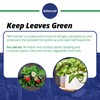 Jack's Classic 20-20-20 All Purpose Water-Soluble Fertilizer with Micronutrients to