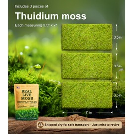 Live Moss – Thuidium Moss (3 Sheets, Each Approx. 3.5"x7") for Terrariums, Bonsai, Plant Decor & Natural Crafts – Naturally Grown, Reusable, Not Artificial