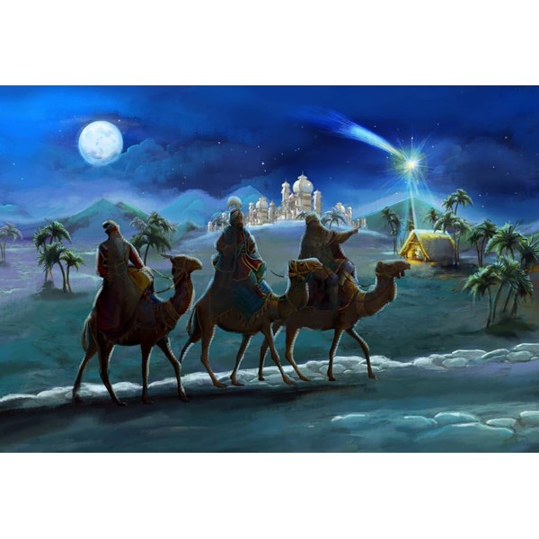 Canessioa Nativity Scene Birth Jesus Backdrop Starlight Desert Castle Manger