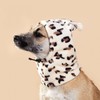 Cute Bear Pet Balaclava Dog & Cat Hat Head Cover [lf2511] Free Size/S Red 3ea